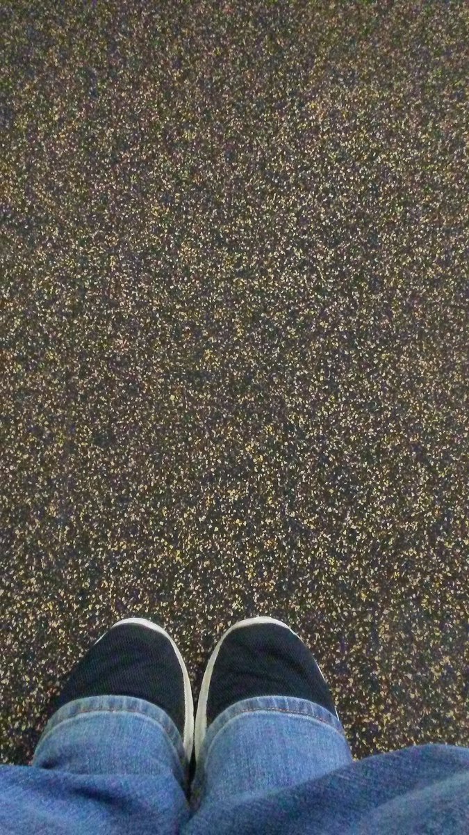 kate_provost's tweet photo. @BillyTolley heres a floor pic for u lol https://t.co/U6h5mHr5VG