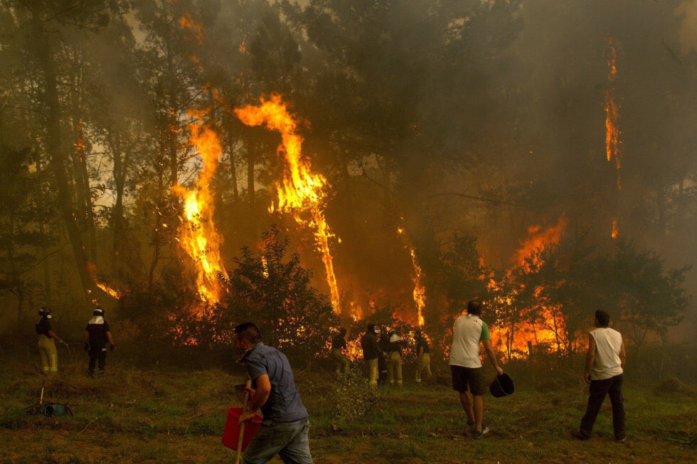 _ABallester's tweet photo. Preocupación y tristeza. Culpables quienes provocan incendios y culpables quienes recortan en políticas forestales y rurales. #ArdeGalicia https://t.co/XpAptvzivw