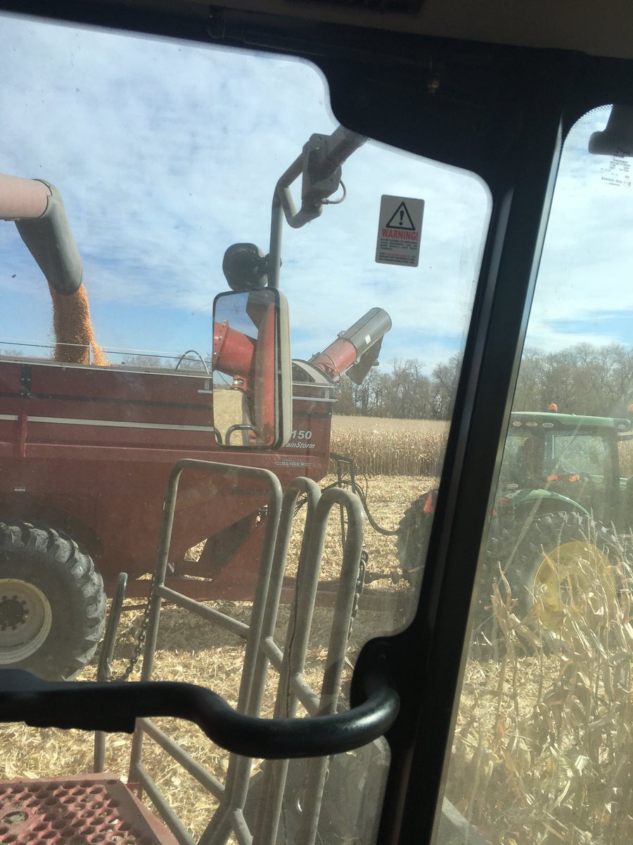 russellgrains's tweet photo. Our 14th corn harvest under way and no one told us growing this crop is the most addictive drug you will find https://t.co/82Zu1BxwmY