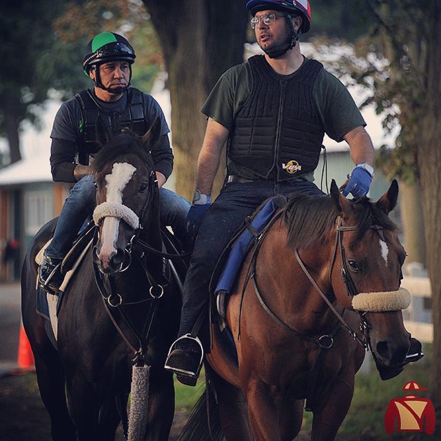 Centennial_Farm's tweet photo. Been spending your #SecuritizSunday watching #football? Thought you should know his buddy, #TeamJerkens' awesome p… https://t.co/V5955VgbJR https://t.co/1W8vKjHSHK