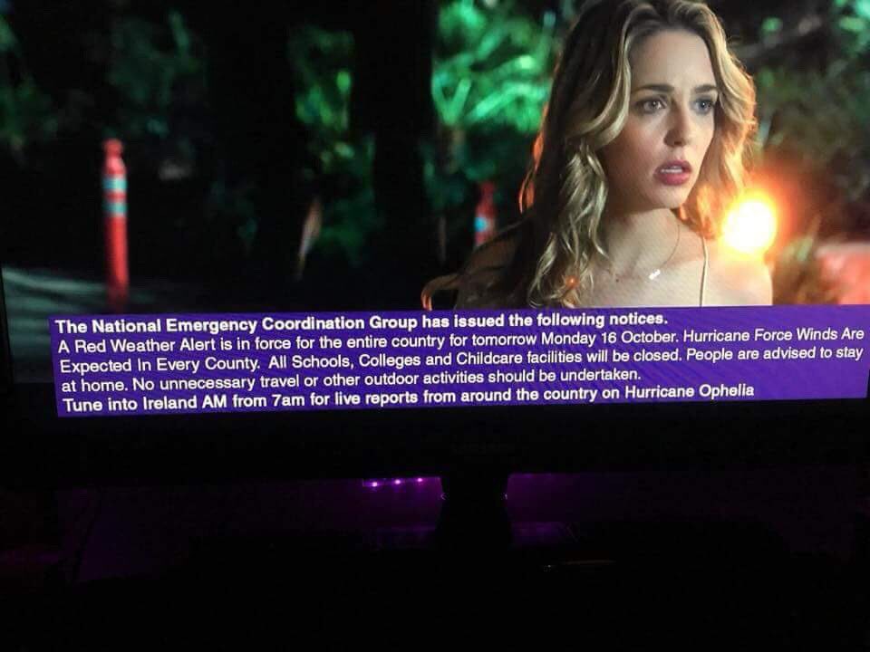 DMN3bcfXcAEDr2M.jpg:large