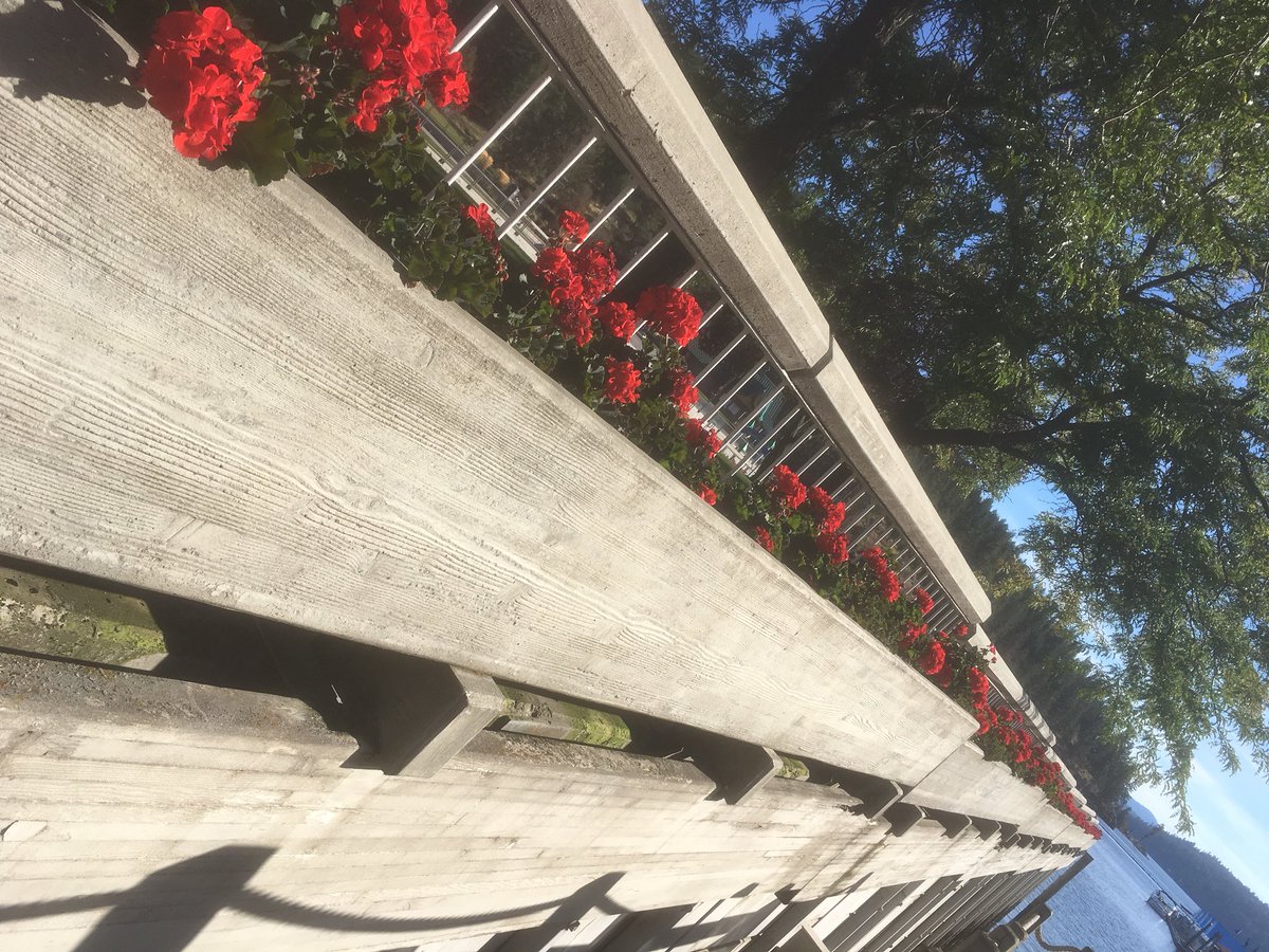 Potter83855's tweet photo. Views of my Sunday afternoon walk on the #Coeurd’Alene #floatingboardwalk. https://t.co/lV9Bmj4AmP