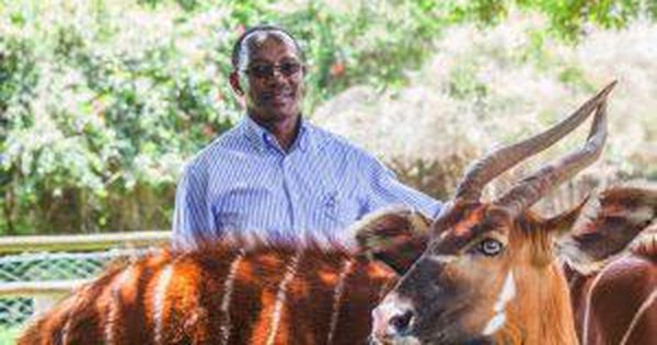 clearvue_app's tweet image. Meet Humphrey Kariuki, The Kenyan Multi-Millionaire Preserving Endangered Animal Species crwd.fr/2xyjbZI
