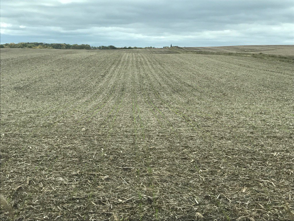 2018 wheat relay off and running 

Even with RowCleaners on #DuoSeed minimal disturbance