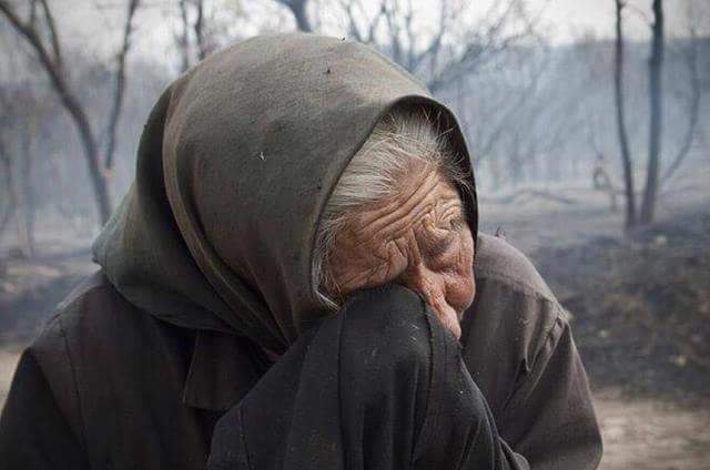 PsicologoABT's tweet photo. Imágenes que parten el alma.  #Ardegalicia . Acto atroz cometido contra La Madre Tierra.  Ahora, a unir fuerzas para afrontar y parar esto. https://t.co/Vz0rH0o4Lg