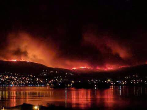PsicologoABT's tweet photo. Imágenes que parten el alma.  #Ardegalicia . Acto atroz cometido contra La Madre Tierra.  Ahora, a unir fuerzas para afrontar y parar esto. https://t.co/Vz0rH0o4Lg