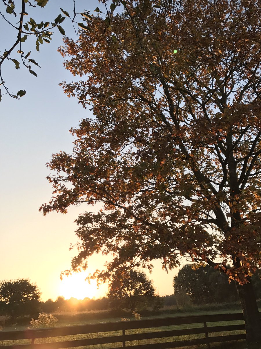 Net als onze #gasten vandaag genoten van de #zon. Met een prachtig slot. #witten #assen #drenthe #rust #zomer in de #herfst.