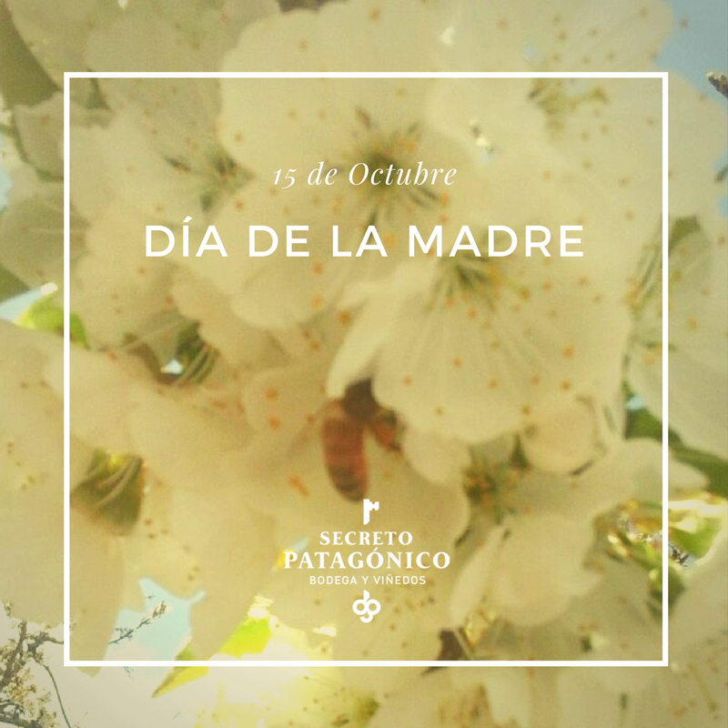 Feliz Día de la Madre #Love #mama