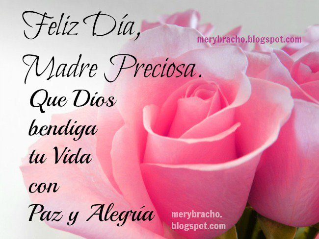 Feliz día MADRES preciosas y #FansEnamoradasARG de <a href="/willylevy29/">William Levy</a>