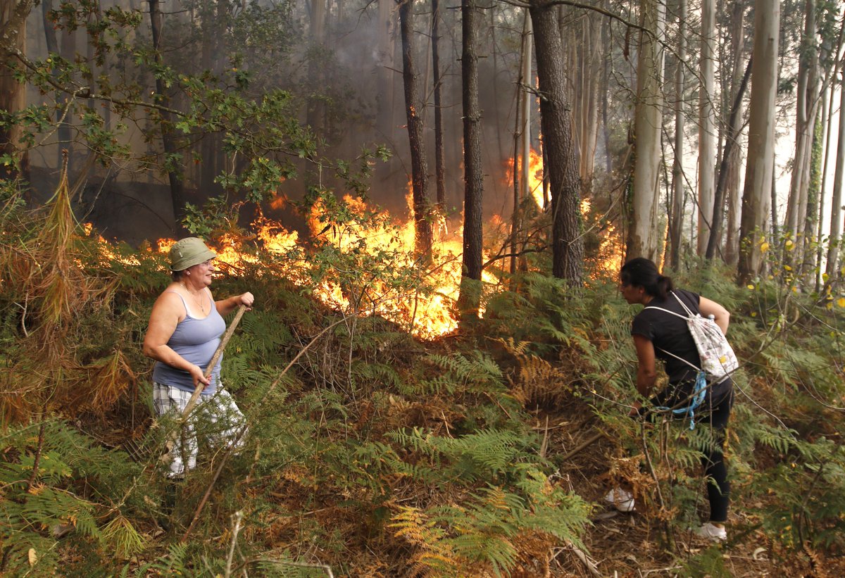 Farodevigo's tweet photo. #ÚLTIMAHORA Dos muertos en Nigrán cercados por el fuego https://t.co/NDCCtMxAC0 #ArdeGalicia informa @AlbertoLeyenda https://t.co/irlD3oSjd2