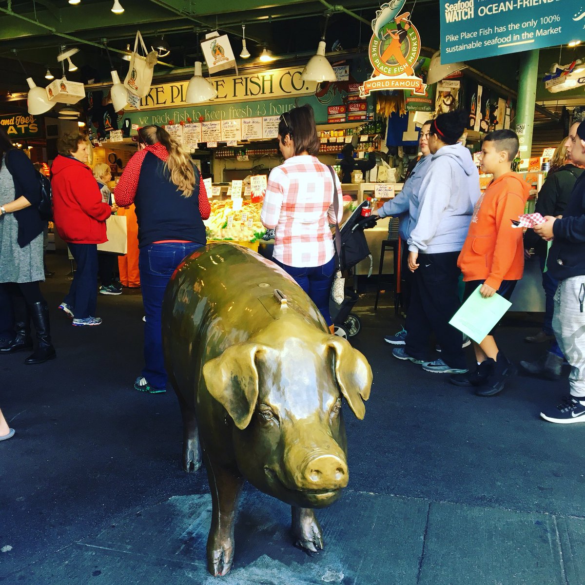 BUTCHBLUM's tweet photo. #soSeattleSunday @pikeplacemarketfoundation @cityofSeattle #bronzesculpture #pigsfly #give #seniorservices #publicart https://t.co/VJdGSJSRex