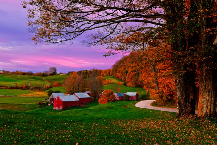 sandyconnolly's tweet photo. The Most Photographed Farm In North America Is Right Here In #Vermont | by Kristin Grimes
#JenneFarm #ThisIsVT https://t.co/Ccf8hG2Uzm https://t.co/vOdYiizRXd