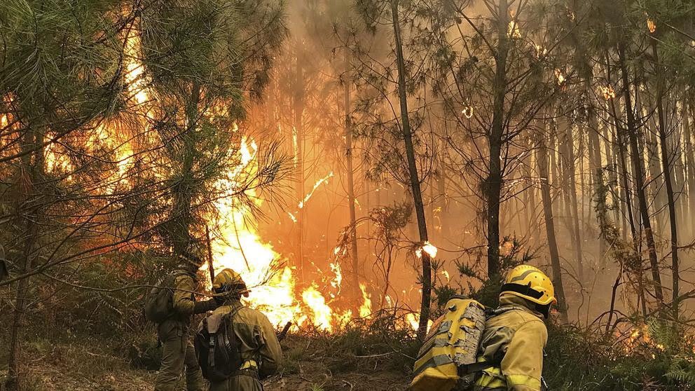 ignacioaguado's tweet photo. Otra vez el fuego lo devora todo en Galicia. Que impotencia...😔. Un abrazo fuerte y mi solidaridad con las familias afectadas #ardeGalicia https://t.co/ycL3XTAZoo