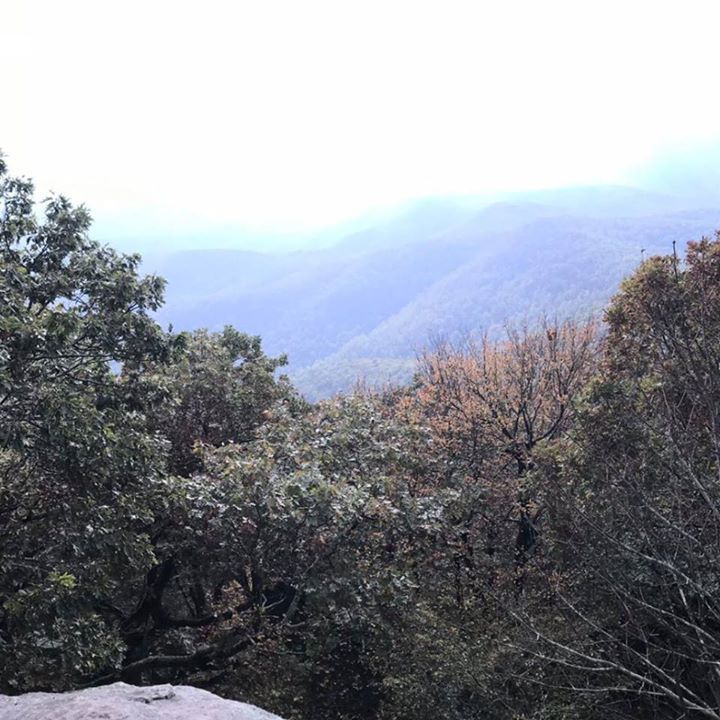 McKinnonRW's tweet photo. Worth the climb! Tallest point on the #AppTrail
20.12 miles and over 1 mike vertical climb. More to go.... via Fac… https://t.co/KdM16mnaL0 https://t.co/XcuQQQU8A7