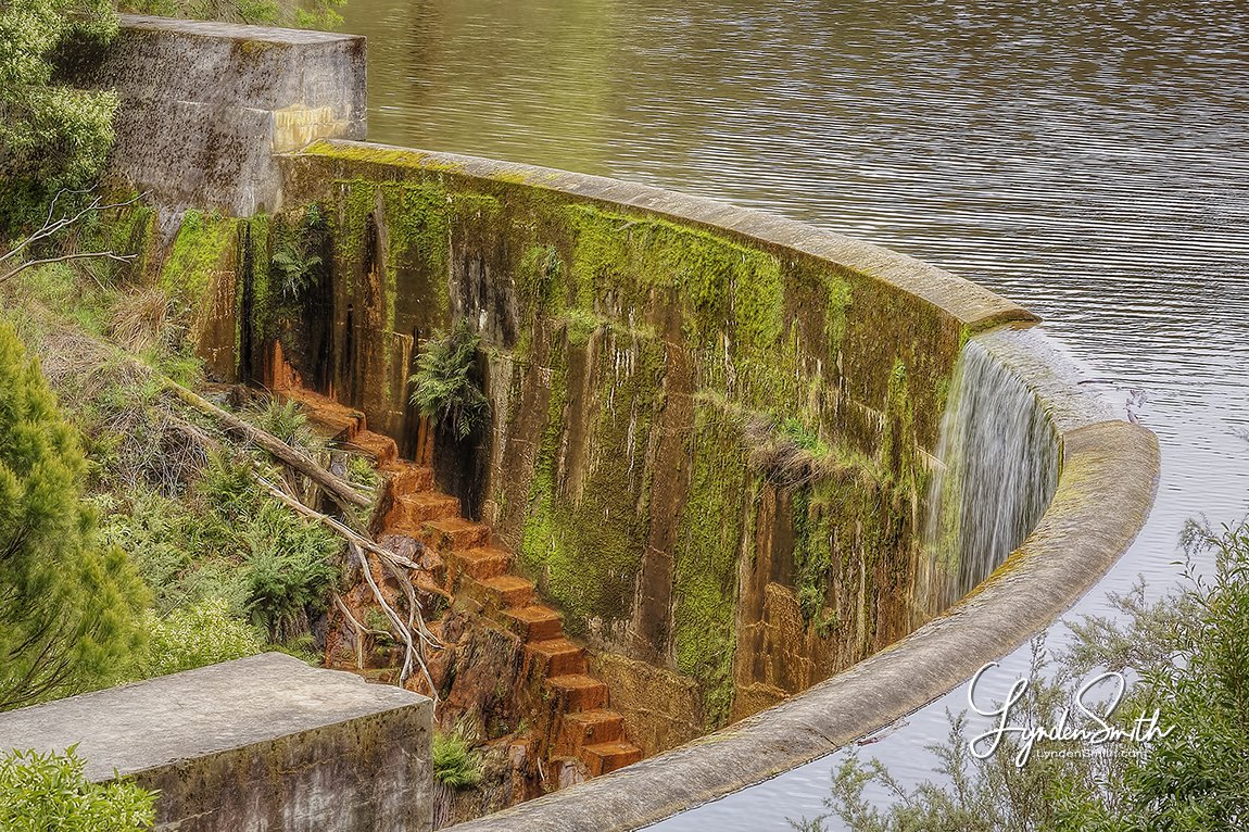 LyndenJSmith's tweet photo. Photo of the day, 'DRINKING WATER'. Full daily blog & pic at https://t.co/hbuYp2wNHy #potd #Colbrook #Victoria #Australia https://t.co/qOA5B9urYR