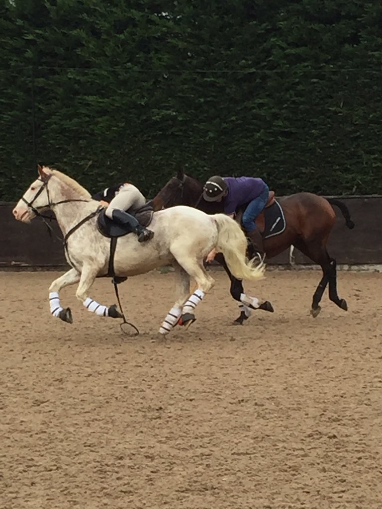 PCArea8Polox's tweet photo. Great morning at @MHFPolo thanks guys #polocrosse #polo #polopony #thisispolocrosse #whywait https://t.co/9eMHjKdRXP