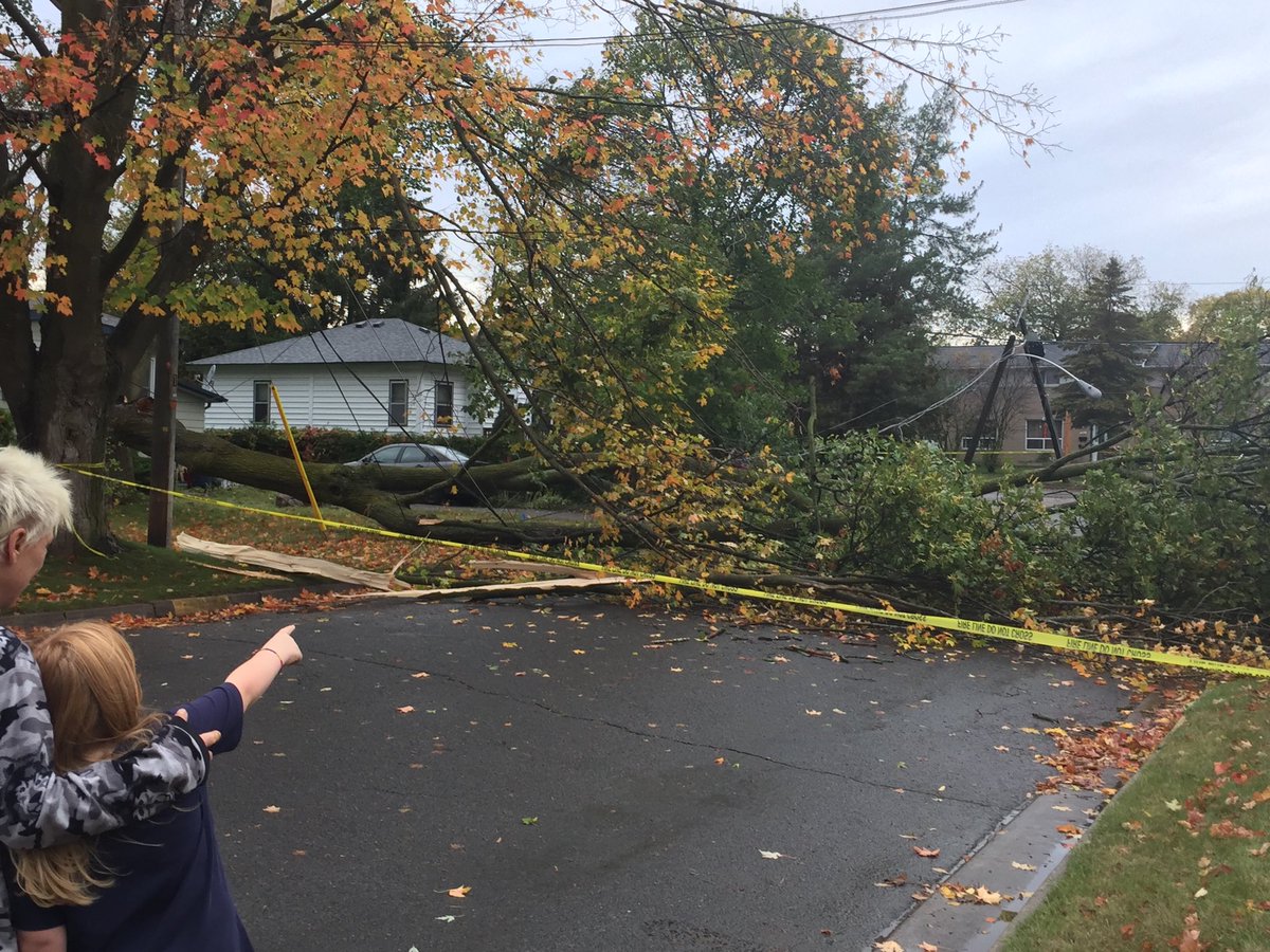 JesseThomasCTV's tweet photo. Avoid the area of Parkhill Rd &amp; Donegal St w tree down blocking the road. A pair of hydro poles are leaning over. https://t.co/AgBW9DBPBB