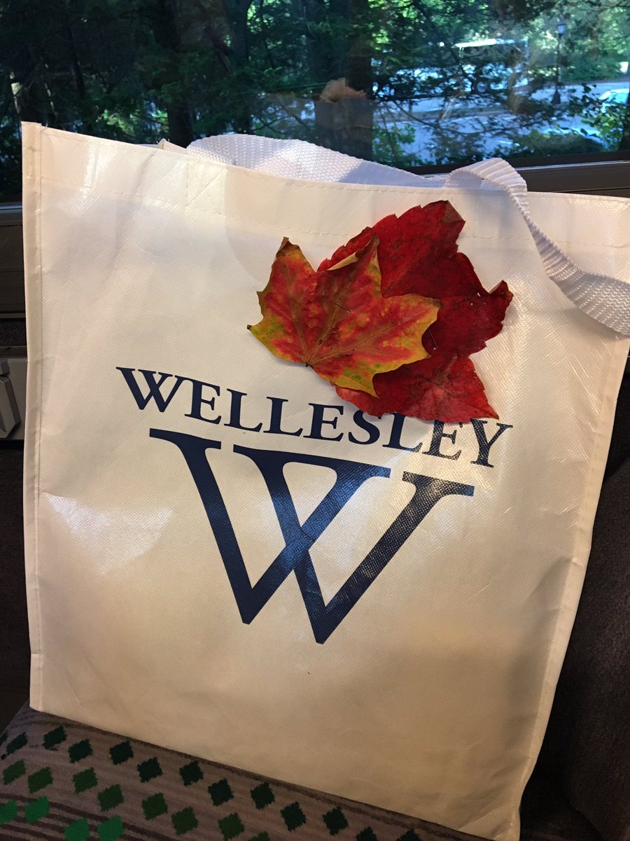 Heidi_Cuda's tweet photo. @Wellesley @tracygreen @Tahoesquaw1 @RighteousBabe4 @vintageviolasse decorating the swag on the @PeterPanBus to @HarvardSquare 🌹
#wellesleyweekend🍂🍁
#wellesleymom🤘 https://t.co/0zqrrRRFEG