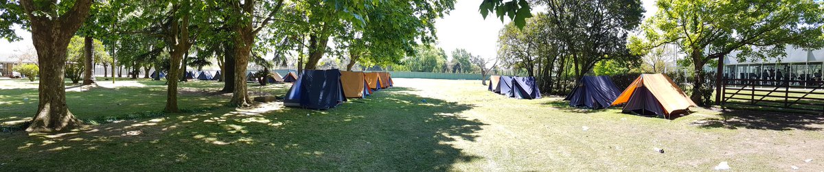 JuventudCISSAB's tweet photo. Majanito de CISSAB, cuidamos todos los detalles, hasta el color de las carpas, azul y Naranja.
#sentimoslacamiseta
#micorazonlatenaranja https://t.co/80SGKFhePf