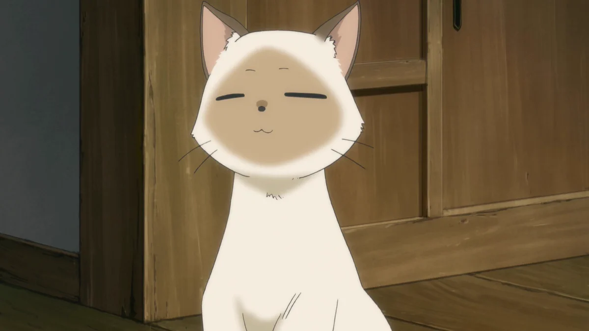 flyingwitch - Search / X