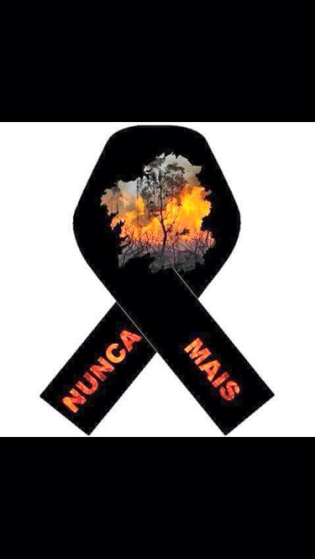 Galicia no arde, a Galicia la queman. No nos engañáis. 80 incendios en 2 días. 2 fallecidos humanos. #nuncamais #eucaliptos <a href="/Xunta/">Xunta de Galicia</a>