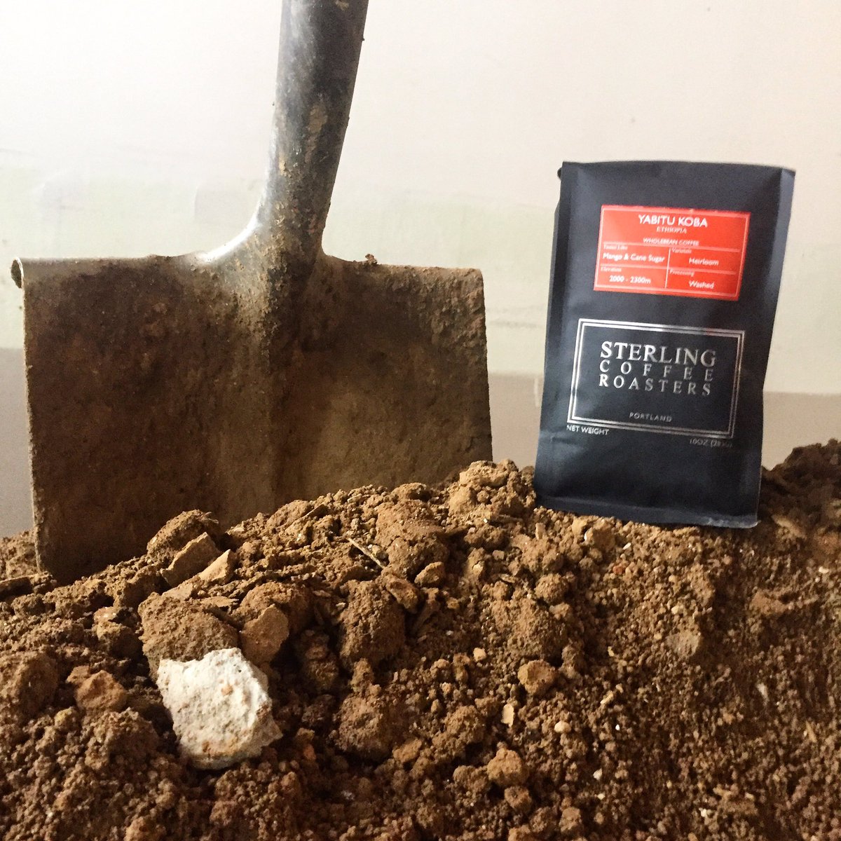 Digging a giant hole indoors is thirsty work and this Yabitu Koba Ethiopia quenches with sweet mango flavor and a zesty finish! #besterling