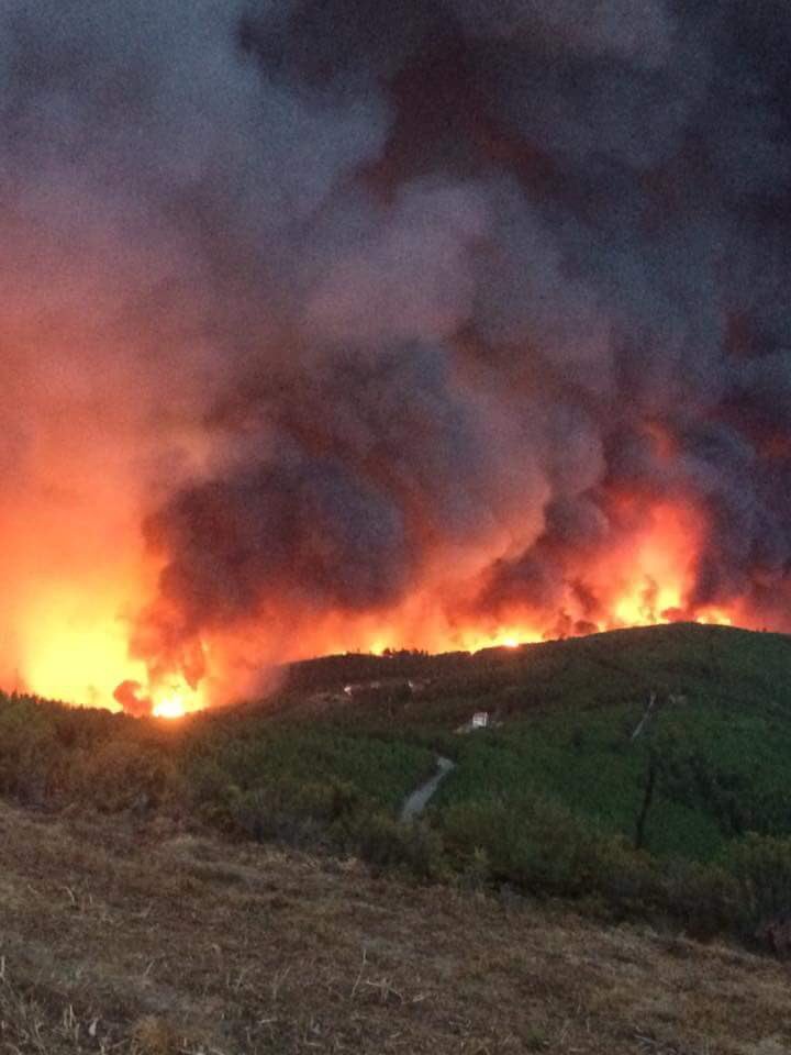 thenctzewn's tweet photo. We're on October and it's still so hot
Portugal is dying and no one cares
I hope everyone is safe
#prayforportugal https://t.co/bdyAUFI3Ss