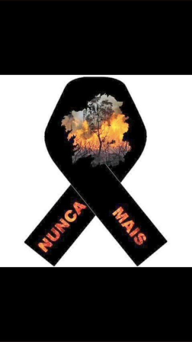 csapcarcaixent's tweet photo. Tod@s somos #Galicia. Que finalice pronto el terror de los incendios. Nuestros pensamientos con las familias gallegas #NuncaMais #stopiiff https://t.co/w3eqkFC5VZ
