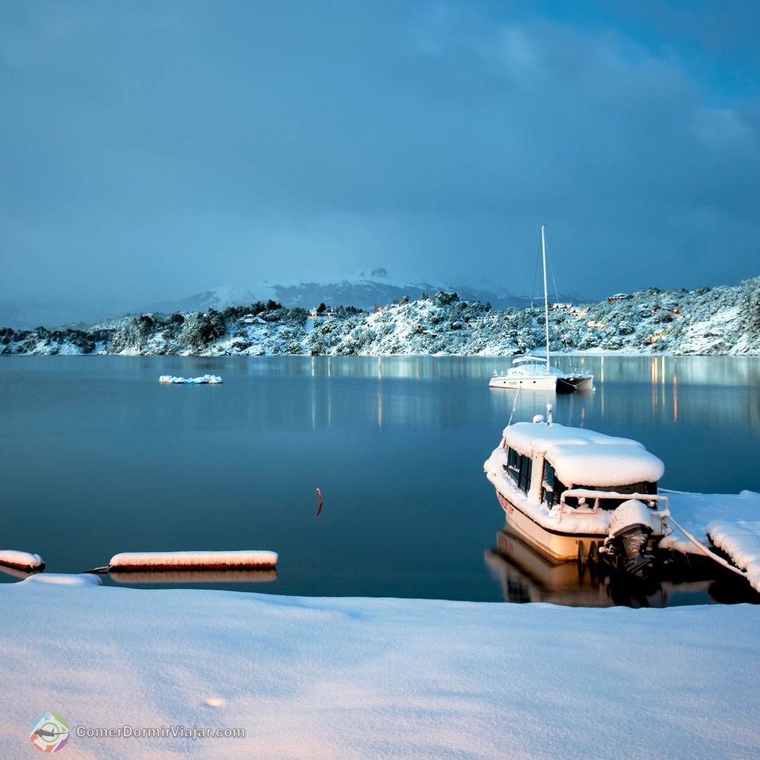 Comer Dormir Viajar tweet media