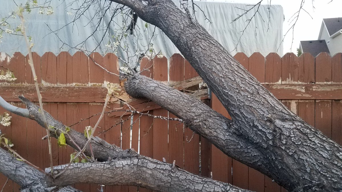 Klaumbaz's tweet photo. Fence fixed. Back aches. #Winteriscoming #youcandoitwecanhelp https://t.co/M1kk6hMSeR