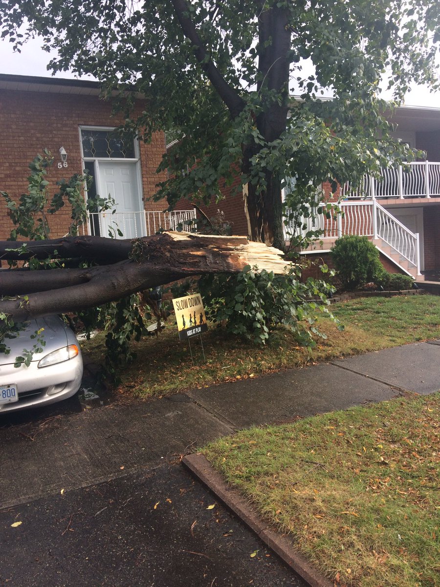 LANInspiration's tweet image. @SBraduryTV in Brampton