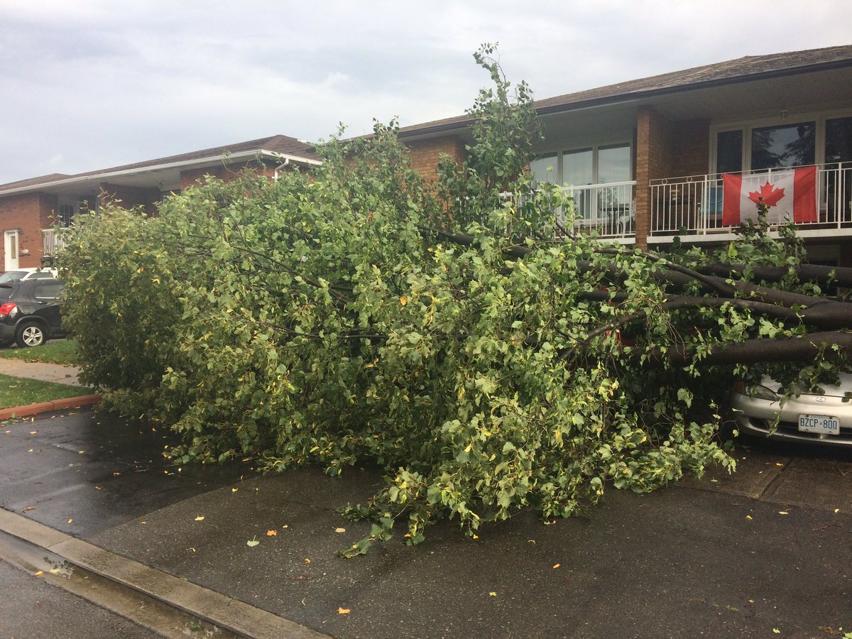 LANInspiration's tweet image. @SBraduryTV in Brampton