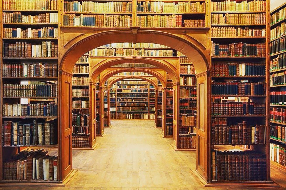 IIFI's tweet photo. #Skype #EnLinea #TOEFL #SAT #IELTS #GRE #GMAT #tutor https://t.co/zSQZkkxO8K