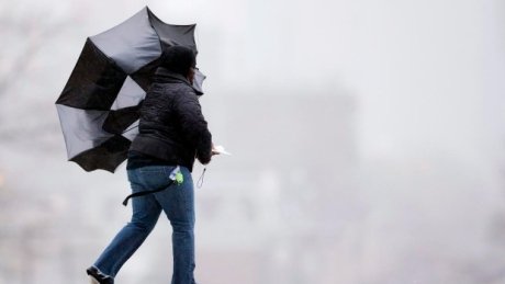 CBCOttawa's tweet photo. Environment Canada warns of windstorms across eastern Ontario https://t.co/H4VroWARlb #ottnews #ottawa https://t.co/mbBnzJVH58