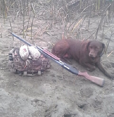 huntfishplan's tweet photo. Just 2 ducks this morning.But now I know the honey hole. . . . #huntfishplan #northdakota #ndlegendary #ndhunting #ndwaterfowling #keepitpub https://t.co/wPK4MwrXts