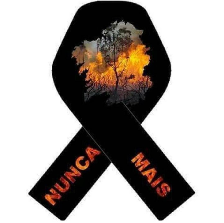 vanesamolinafde's tweet photo. #ArdeGalicia https://t.co/BzUKuaOlHm