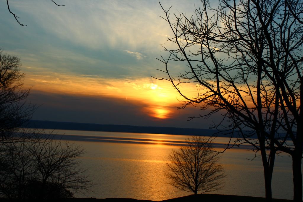 Perri Ormont Blumberg tweet media