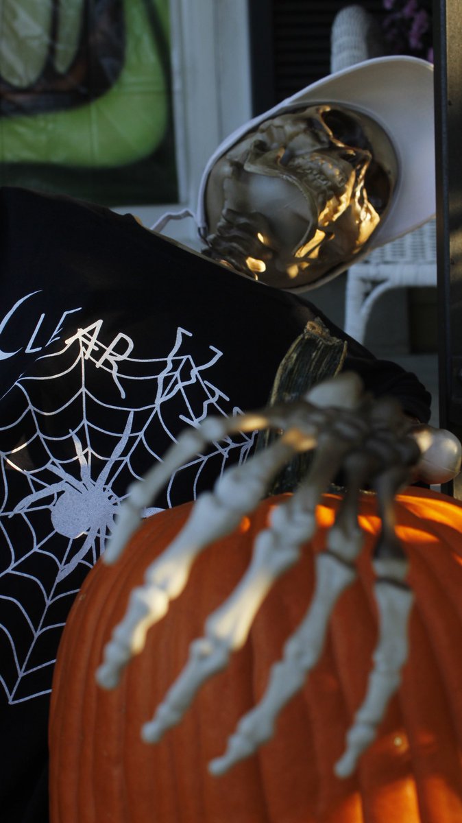 ClearViewClo's tweet photo. 🌙🕸🕷💀 Creepy Crawly 💀🕷🕸🌙 available now on https://t.co/TytLZOFrtj https://t.co/AoKkOQzpKd