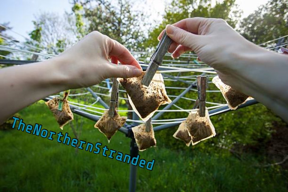 NorthStranded's tweet photo. CAVAN FAMILIES: Don't forget to bring the teabags in from the line before bed. We'd hate to see you lose them in the storm #OpheliaStorm https://t.co/jTWvjxCKFA