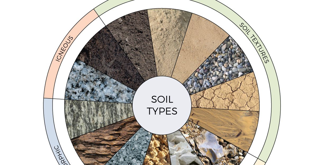 PeaceofWine's tweet photo. An Illustrated Guide to the Most Important Wine Soils You Should Know (Infographic) https://t.co/fcuLryNxxS https://t.co/F7KQosQqPE