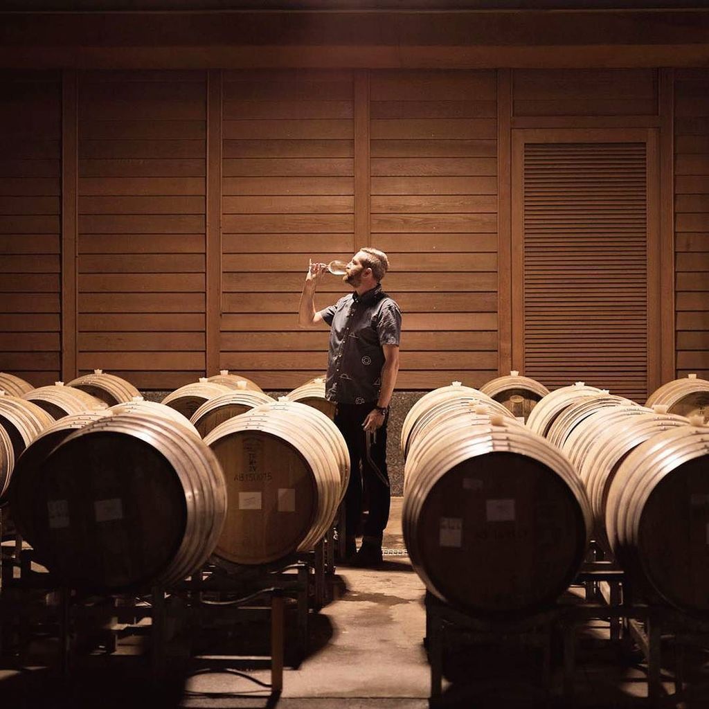 What they do in the shadows.