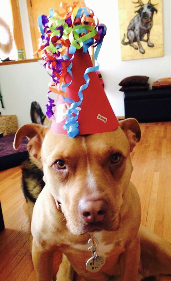 It's my Gotcha Day. Woot.