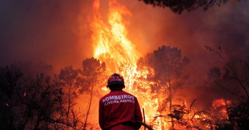 illuminateviews's tweet photo. PORTUGAL NEEDS HELP! PLEASE HELP US! Stop ignoring us, we’re a small country but we still exist and we need help.  #PrayForPortugal https://t.co/y6IVLPyZDm