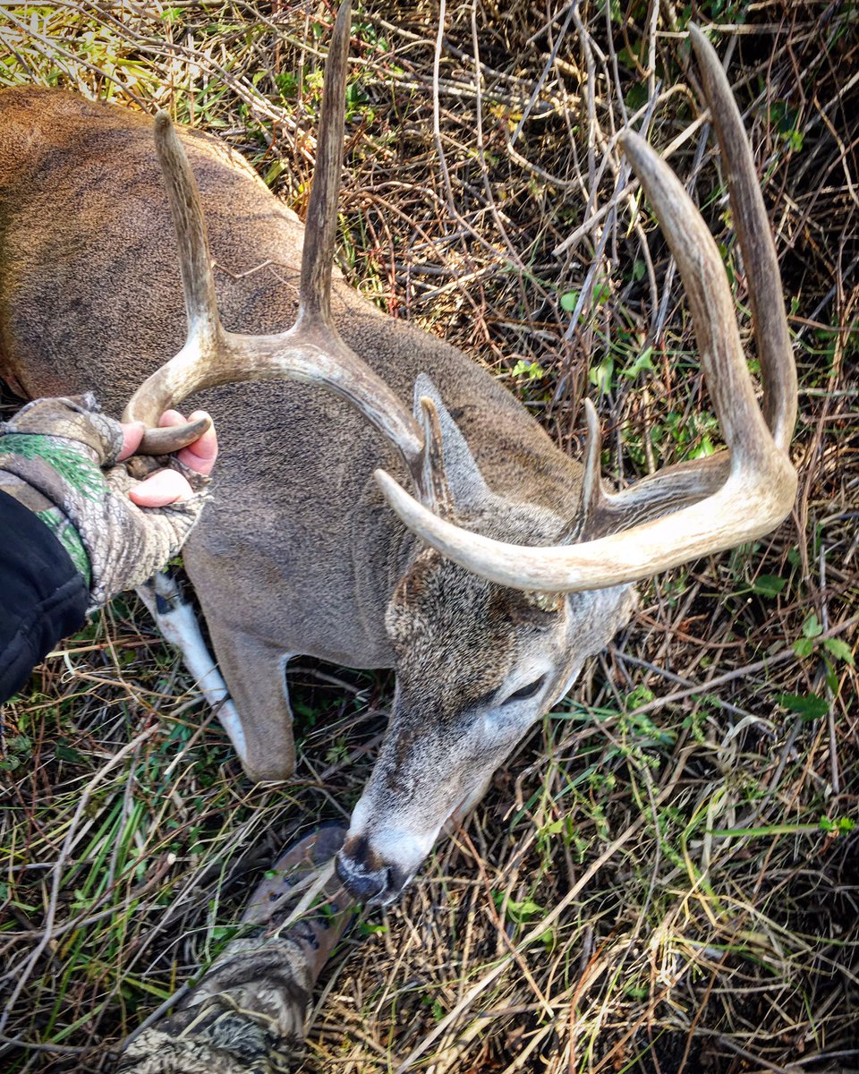 NateHosie's tweet photo. What a blessed Sunday! Thank You lord! 🙏🇺🇸 #BigTexas8 https://t.co/if7MCNKS2O