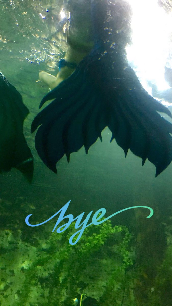 NewportAquarium's tweet photo. #MermaidLove ππ https://t.co/c4Wu6746xv