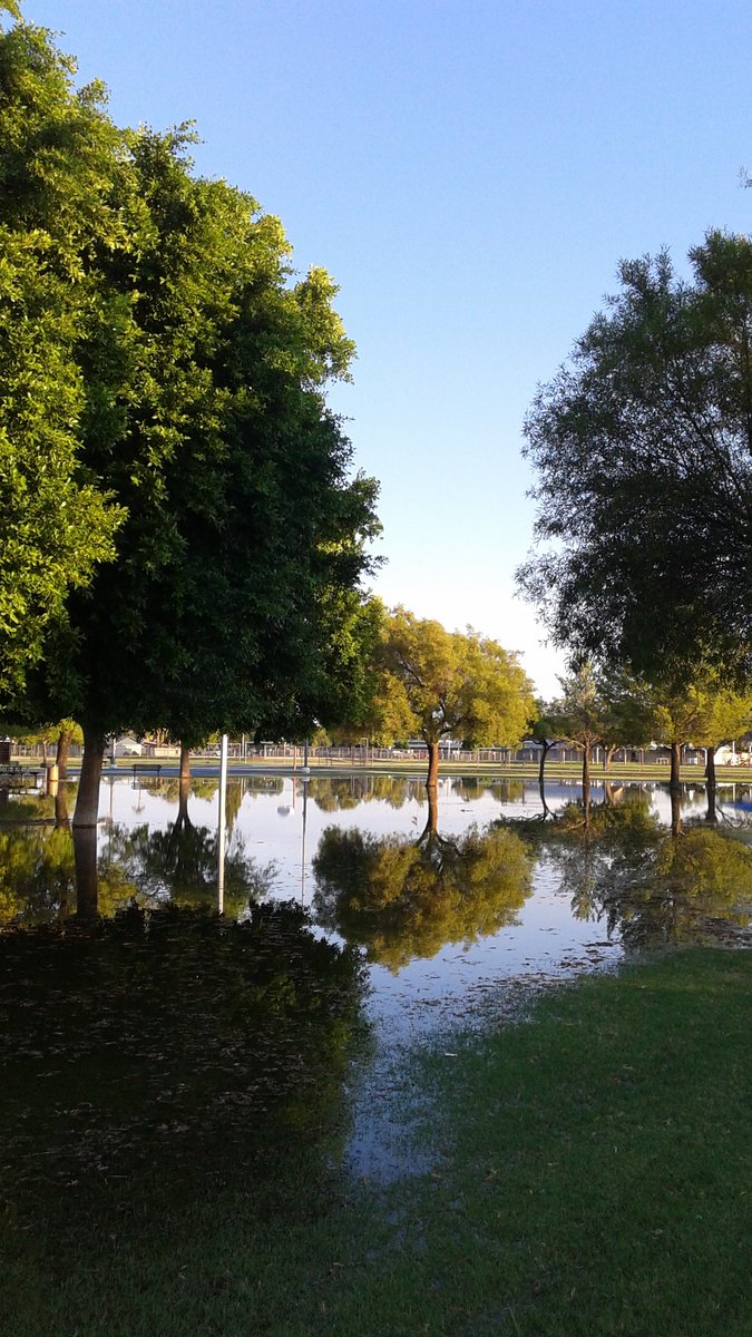nubsbrows's tweet photo. @Tempegov #mytempe  #meyerpark https://t.co/7UJl9eGPJN