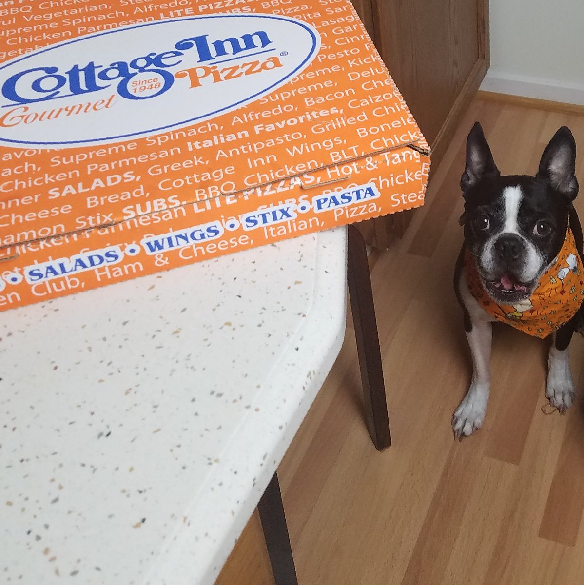 BossyBostons's tweet photo. 🍕 @CottageInn Baxter is celebrating #NationalPizzaMonth by asking for crust 😋 #cipizzamonth #cottageinn #pizzs https://t.co/NyiFHpuYuU