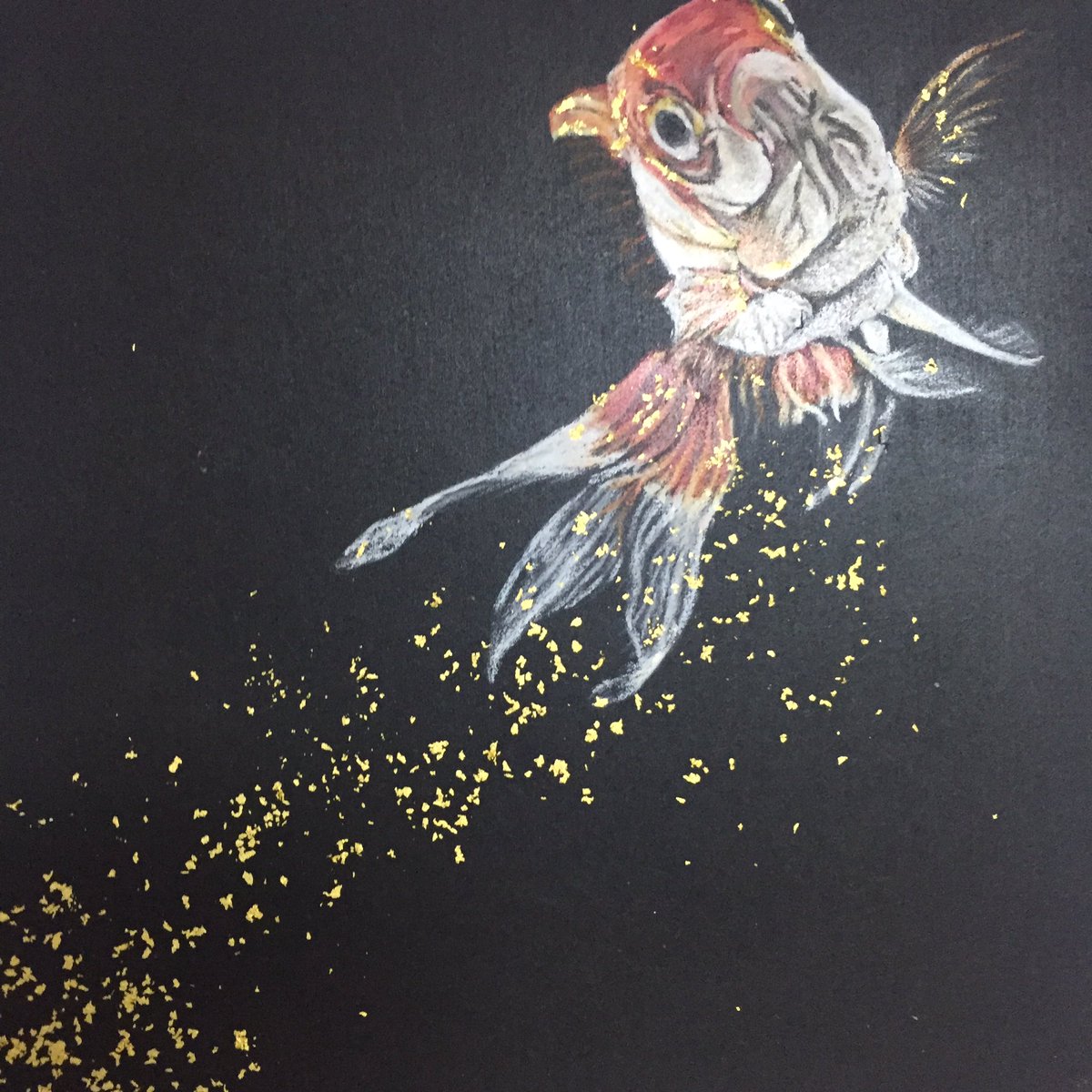C Boz チョークの人 金魚どんどん増えるよ金魚 チョークアート アナログイラスト 金魚 金箔 C Boz チョークの人 金魚どんどん増えるよ金魚 チョークアート アナログイラスト 金魚 金箔
