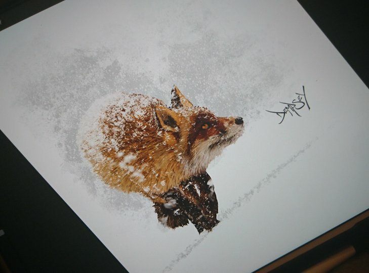 Dempsalicious's tweet photo. #new #artwork #prints #illustration #foxinsnow #ComingSoon #series #winter @Procreate thanks to #procreate4 I can create like this 🙏🤘 https://t.co/4LHkDf1YAG