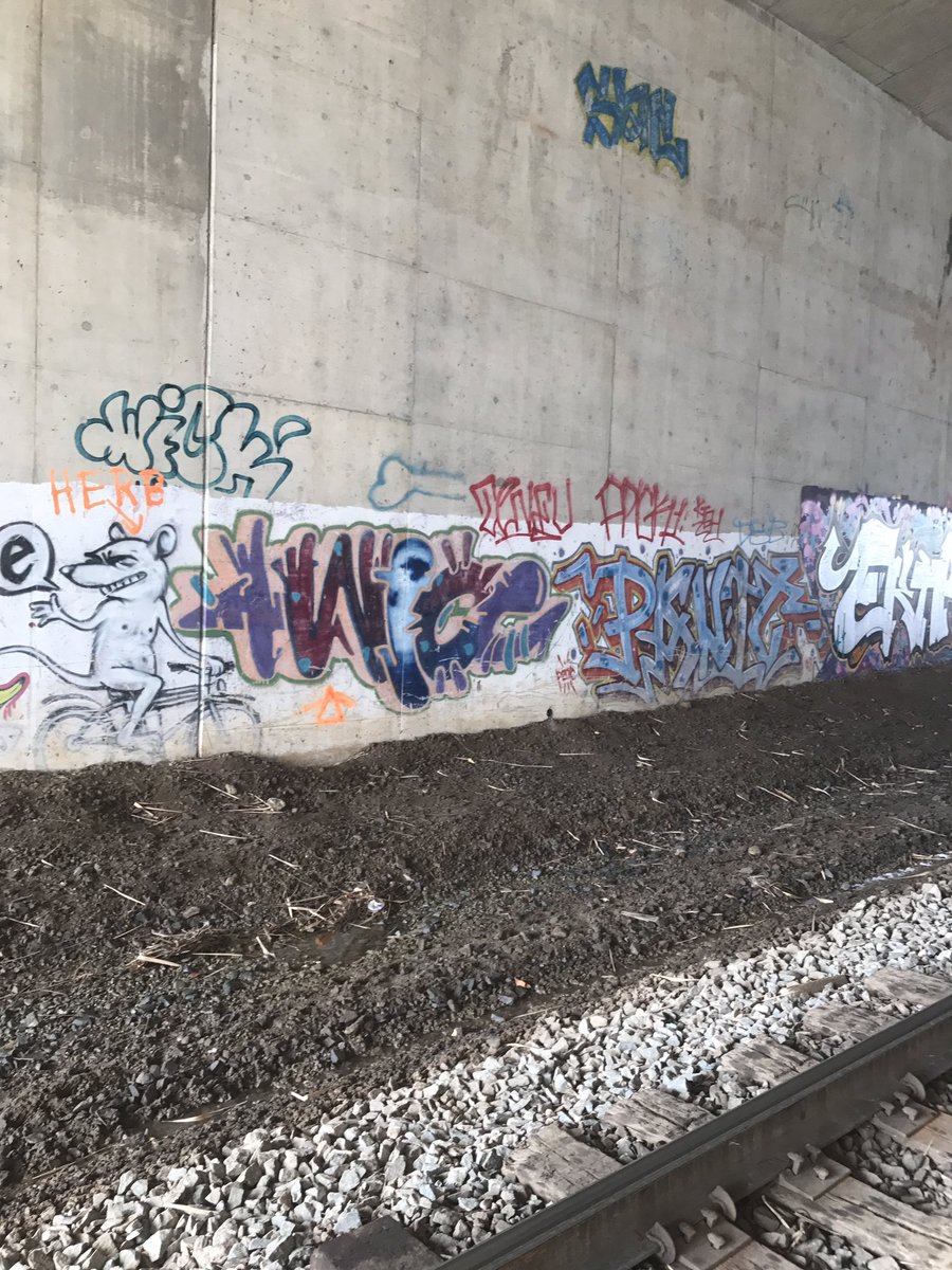 blockbyblockink's tweet photo. Nice to see the homies still riding #aordays #panic #twice https://t.co/JSJlamCRvK